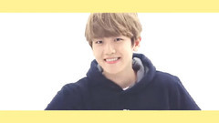 边伯贤(EXO),EXO - 可爱至尊 啵啵虎