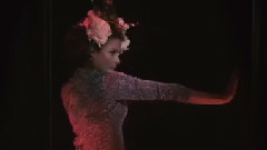 音乐短片 - Sorry Baby