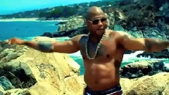 Flo Rida - Whistle