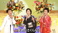 日本群星 - 黄色いさくらんぼ