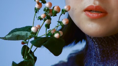 欧美群星 - Nest
