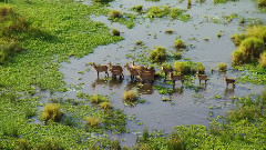 音乐短片 - 长河之歌