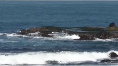 音乐短片 - 爱在夕阳下