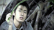 李逸朗《榕树》