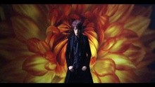 陈伟霆 - Shadowplay