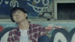 防弹少年团,Selena Gomez - 我心之所向的花样年华(The Heart Wants What It Wants)