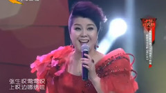 于丽娜,华语群星 - 绣灯笼