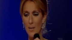 Celine Dion - On s'est aime a cause