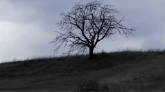 音乐短片 - 无伤曲