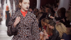 Fashion Show - Christian Dior Fall Winter 2016-2017 - Celebrity Interviews