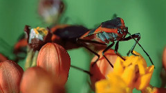 音乐短片 - 生生不息