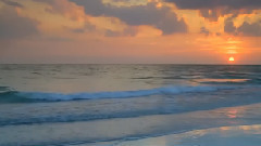 音乐短片 - Hyacinthus