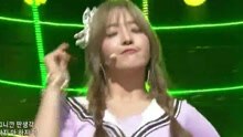 AOA Cream - I'm Jelly BABY 现场版