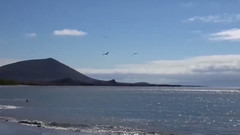 音乐短片 - I Will Always Love You