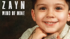 Zayn Malik - Like I Would