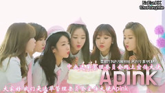 尹普美(Apink),吴夏荣(Apink),朴初珑(Apink),金南珠(Apink),Apink - 韩国选举委员会采访影像 中文字幕