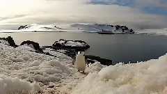 音乐短片 - QQ恋