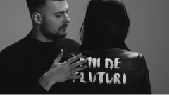 欧美群星 - Fluturi