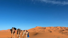 音乐短片 - 撒哈拉之驼