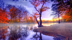 音乐短片 - 秋叶