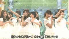 乃木坂46,AKB48 - 悲しみの忘れ方