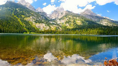 音乐短片 - 庆新年