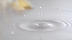 音乐短片 - Le Vent, Le Cri