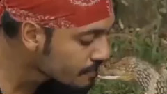 音乐短片 - Да целунеш кобра!