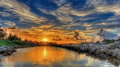 音乐短片 - Вълшебство на природата