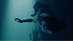 Birdy - Wild Horses