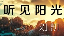  - 刘凯【听见阳光】20160312期