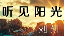  - 刘凯【听见阳光】20160314期