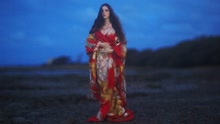 birdy - Wild Horses