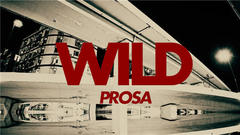 讲者 - WILD