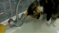 音乐短片 - Водичка