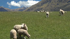 音乐短片 - AX100 4 K Test 1 Consumer Cameras