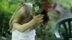 音乐短片 - 4 k resolution test short Life in the Garden