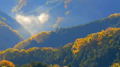 音乐短片 - TOKYO JAPAN 秋の高尾山の紅葉