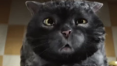 音乐短片 - Кот который испортил Рождество!