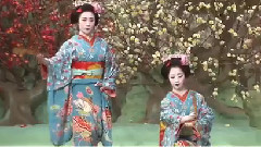 音乐短片 - 千羽千尋 京都遇見櫻花