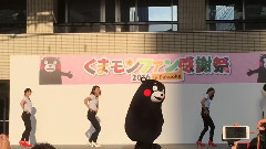 街舞视频,模仿翻唱 - 熊本熊萌出新高度翻跳少女时代GEE