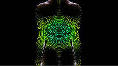 音乐短片 - A Visual Experiment In The Transformation Of Human Skin