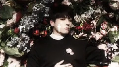 防弹少年团 - Into The Night 国旻x95line