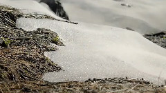 音乐短片 - 初春的萌动