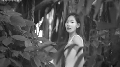 太妍(少女时代) - Nature Republic 60s CF 泰妍Cut