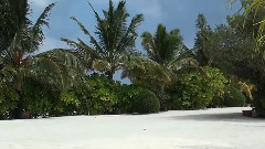 音乐短片 - Alone