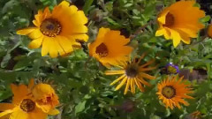 音乐短片 - Спервым днём весны