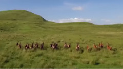 音乐短片 - Wild Scotland