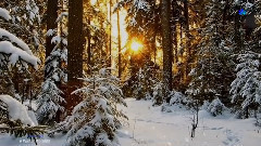 轻音乐 - A Winter Morning FIONA JOY