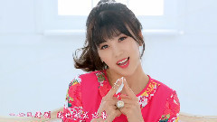Apink - Mr.Chu